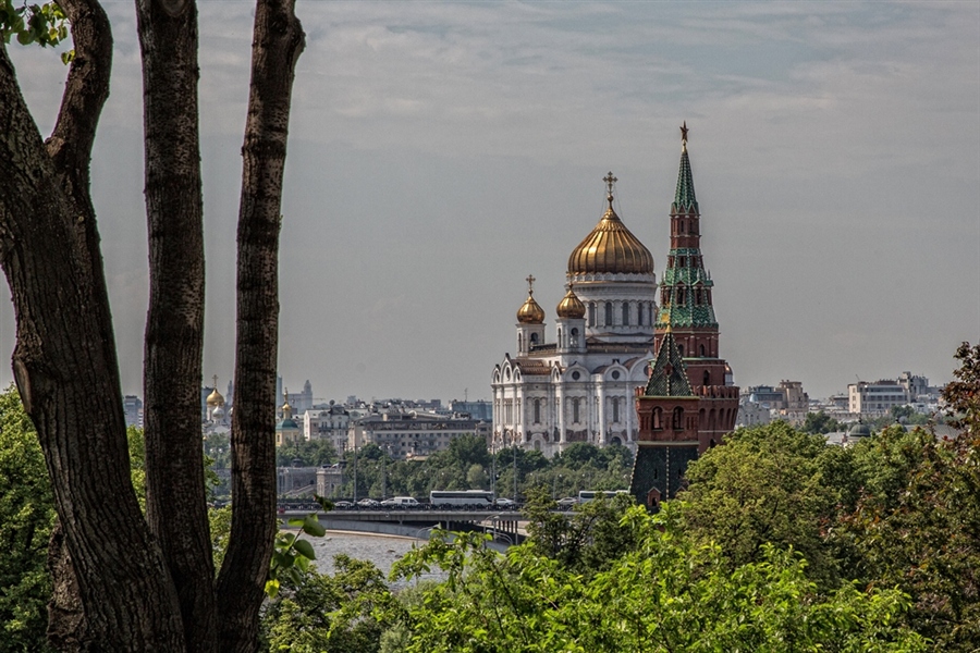 Фото жизнь
