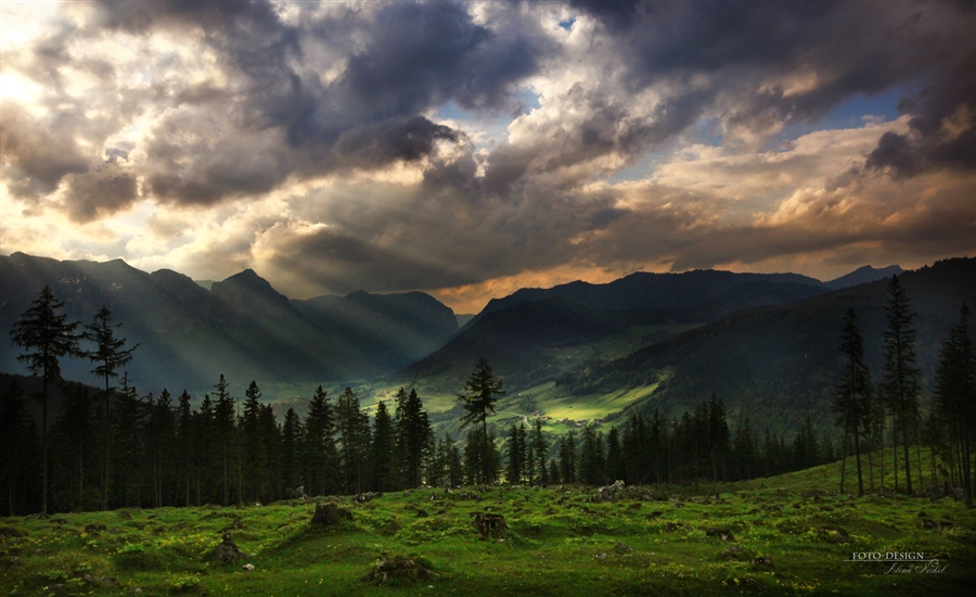 Фото жизнь