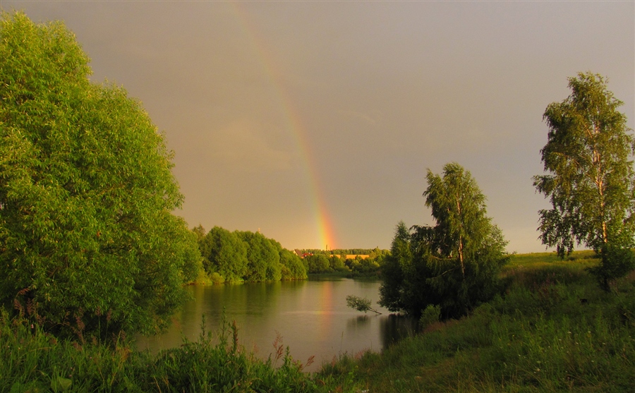 Фото жизнь
