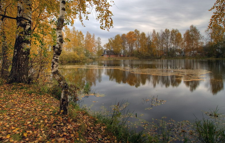 Фото жизнь - Андрей Толстой - Осень... - Вечерело...