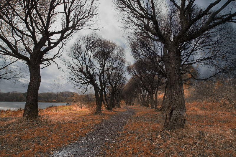 Фото жизнь (light) - Андрей Толстой - Осень... - Шопот...