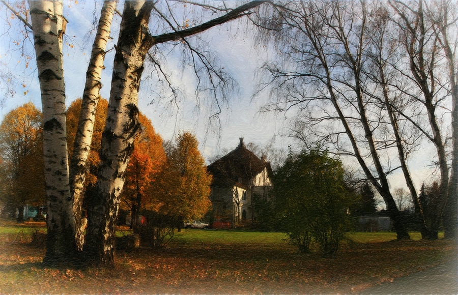 Фото жизнь