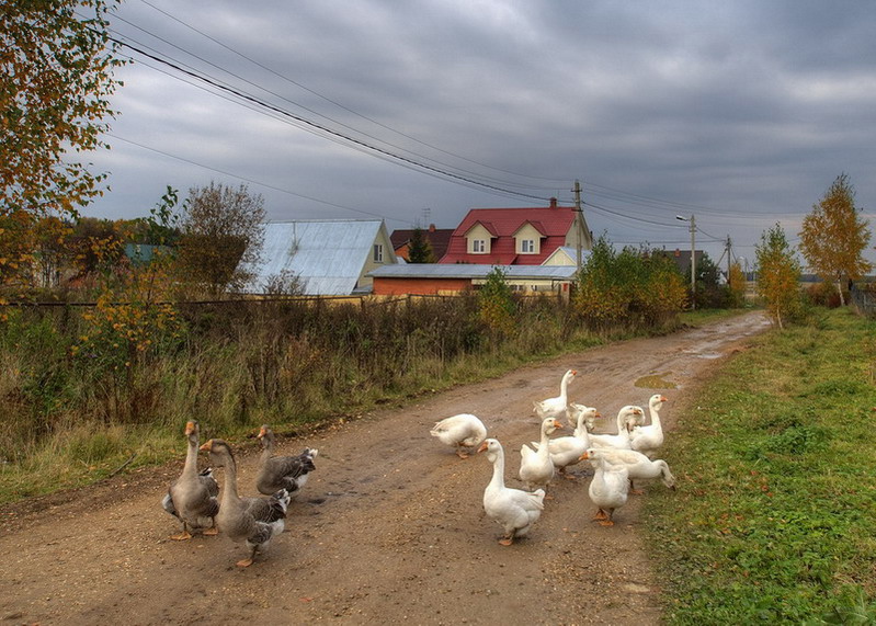 Фото жизнь