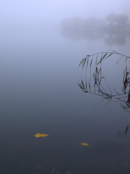 Фото жизнь (light) - Угрюмый - корневой каталог - Туманная осень