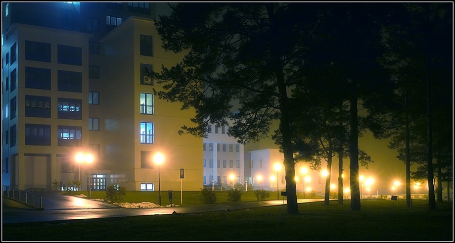 Фото жизнь