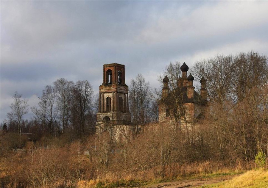 Фото жизнь