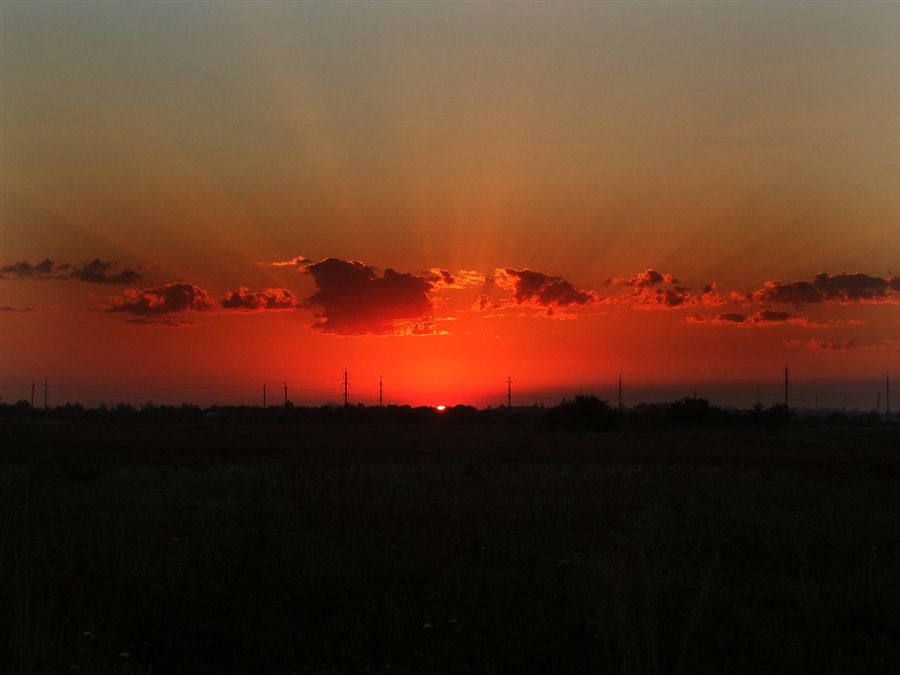 Фото жизнь