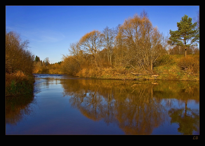 Фото жизнь (light) - Людмила Багдасарян - Пейзажи - Ноябрь
