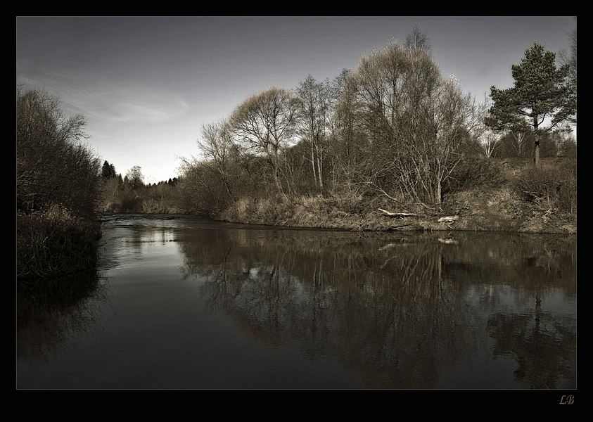 Фото жизнь (light) - Людмила Багдасарян - Пейзажи - Ноябрь (ч/б)