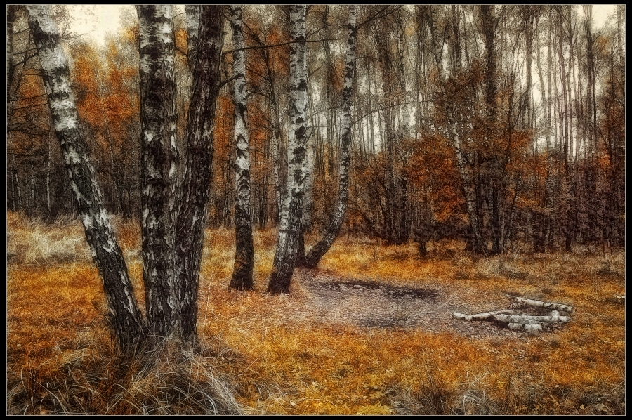 Фото жизнь (light) - Павел - корневой каталог - Осень из ФШ