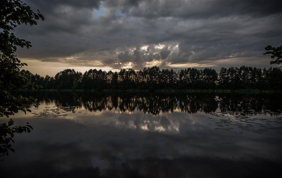 Фото жизнь