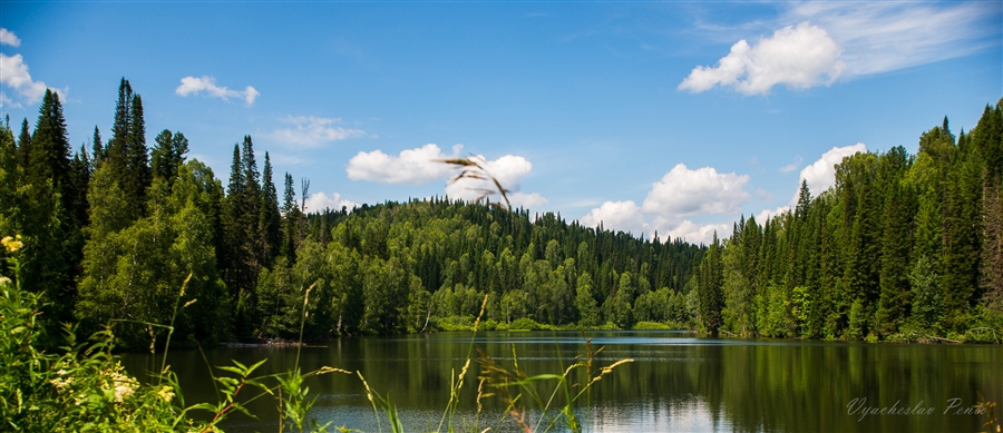 Фото жизнь