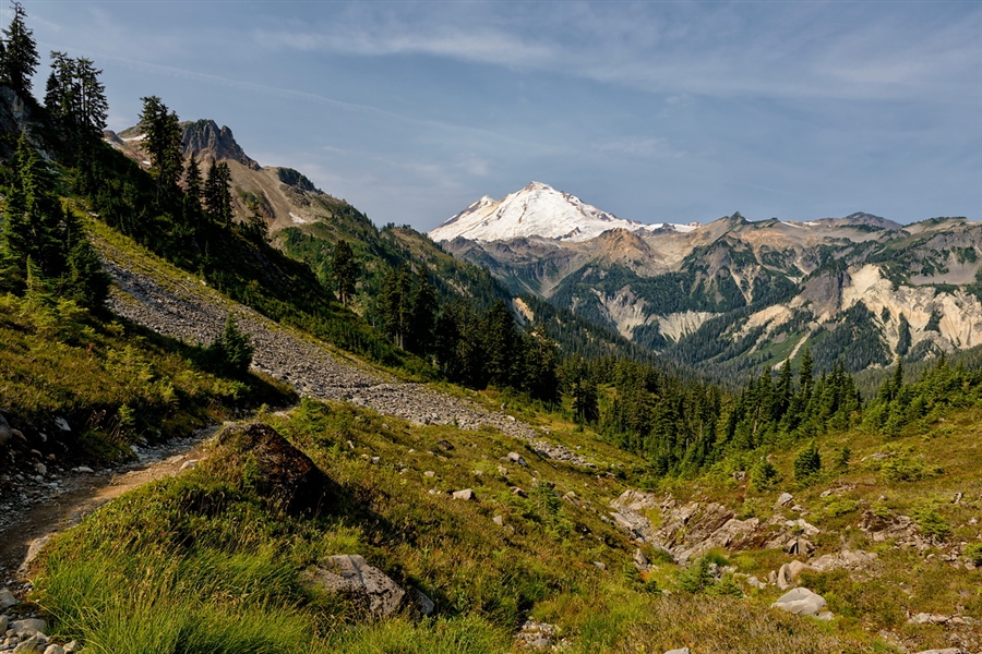 Фото жизнь