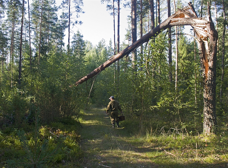 Фото жизнь