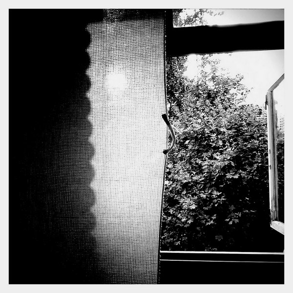 Фото жизнь (light) - mickmouse - корневой каталог - сушка вафельного полотенца в лучах заходящего солнца после бритья трехдневной щетины китайским одноразовым станком
