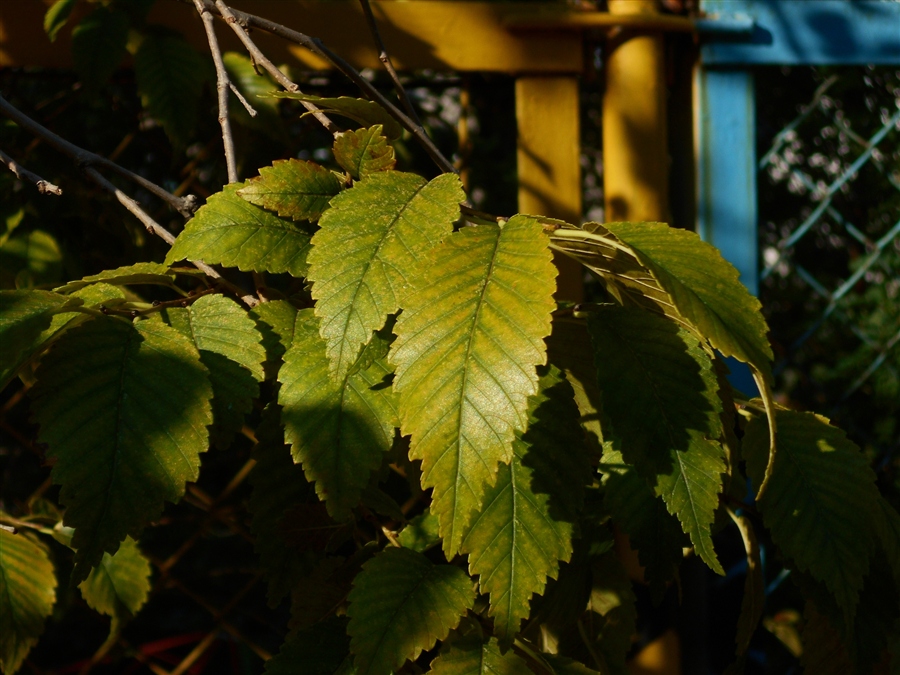 Фото жизнь