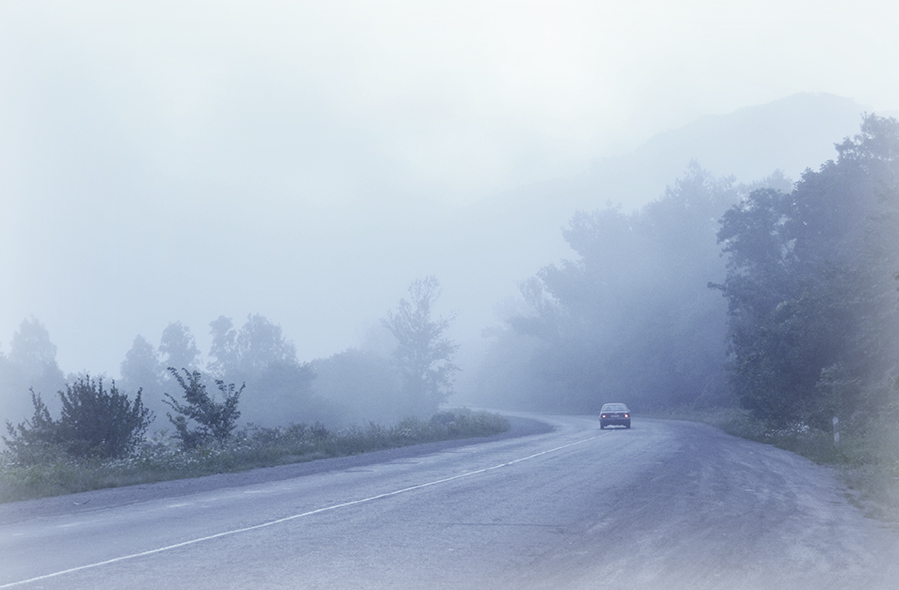 Фото жизнь (light) - Pollianna - Этот удивительный мир - В задумчивом тумане...