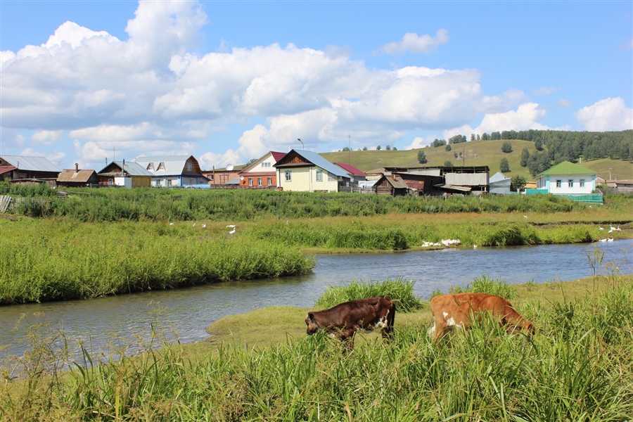 Фото жизнь