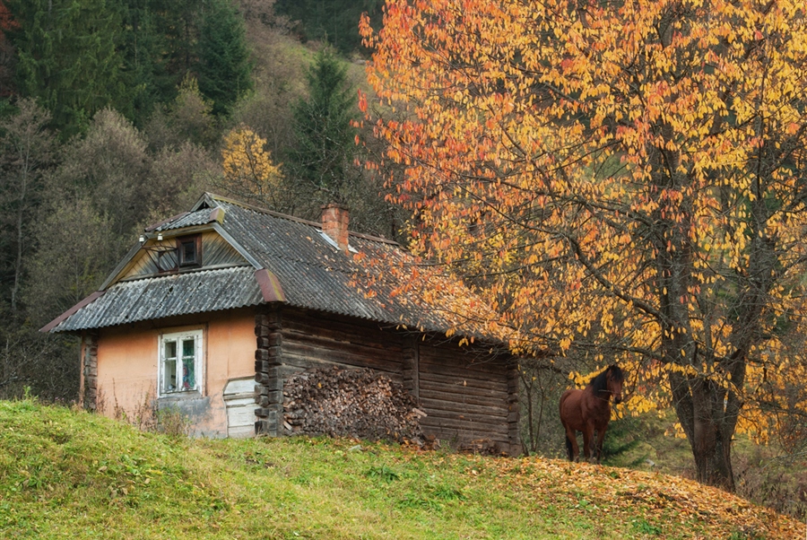 Фото жизнь
