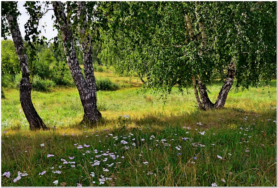 Фото жизнь