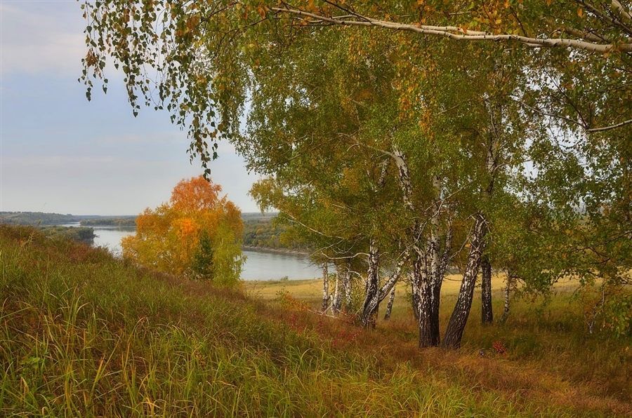 Фото жизнь