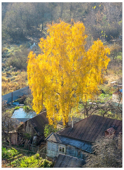 Фото жизнь