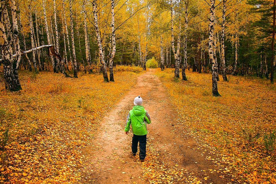 Фото жизнь