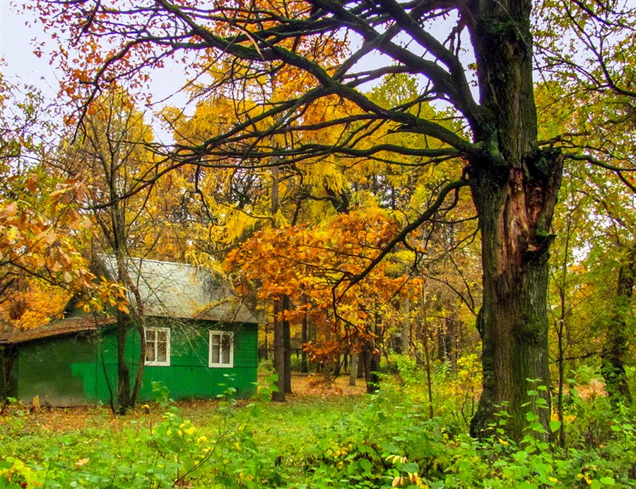 Фото жизнь