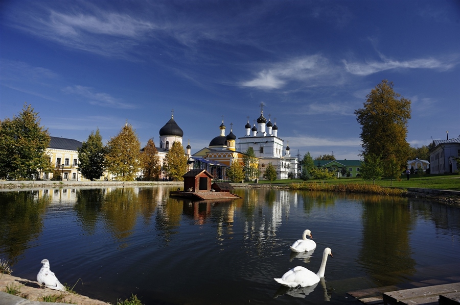 Фото жизнь
