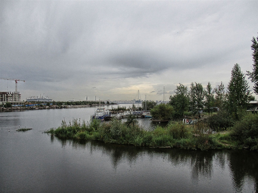 Фото жизнь