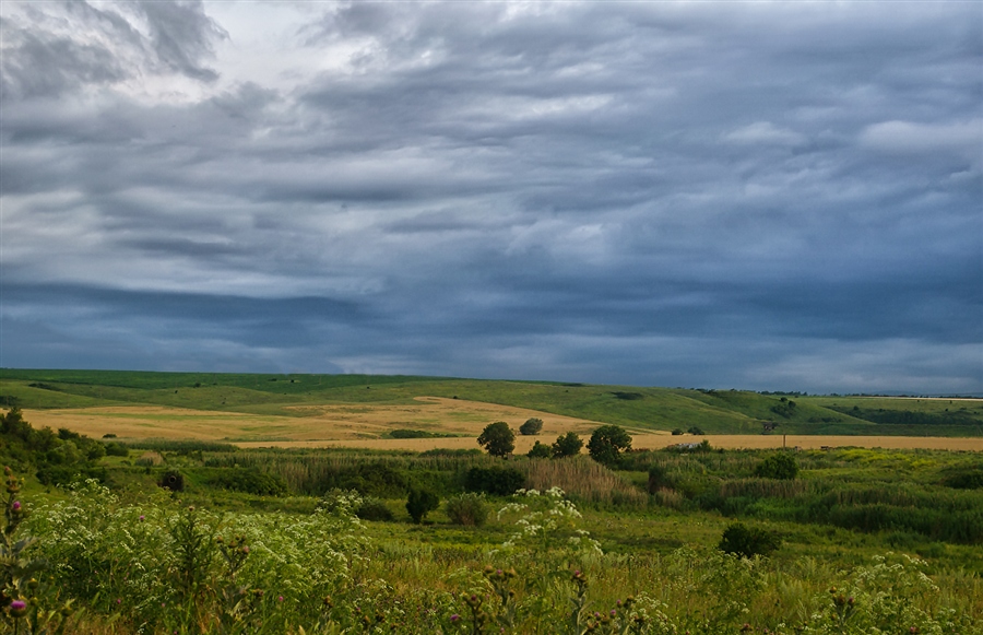 Фото жизнь