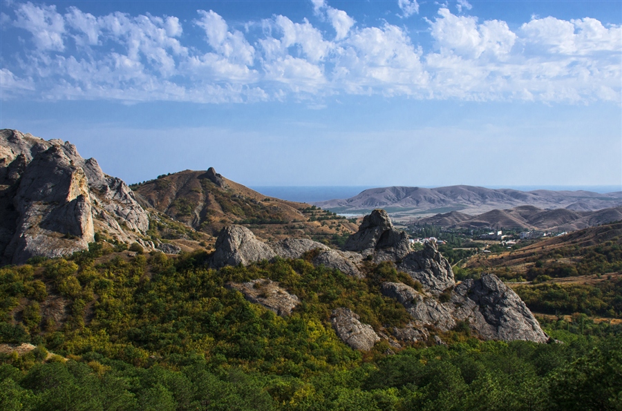 Фото жизнь
