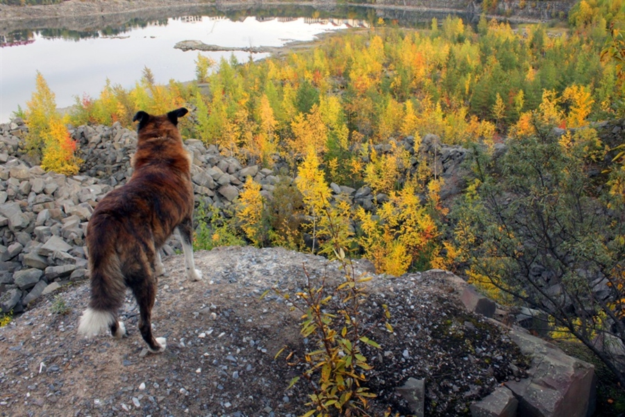 Фото жизнь