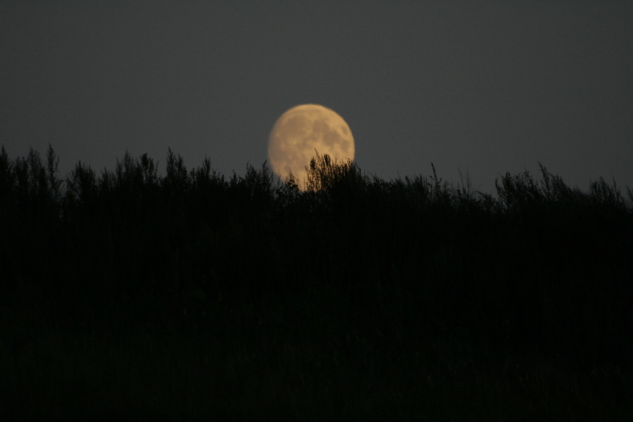 Фото жизнь (light) - klocska - корневой каталог - Зловещщая луна