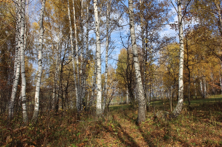 Фото жизнь
