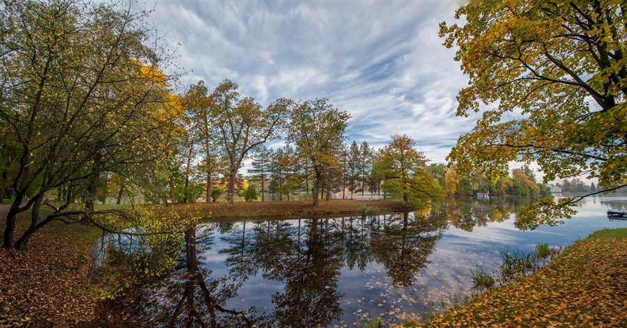 Фото жизнь