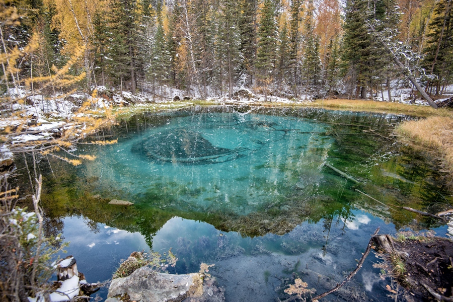 Фото жизнь