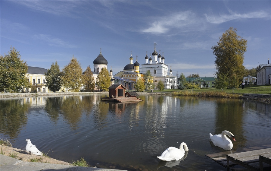 Фото жизнь