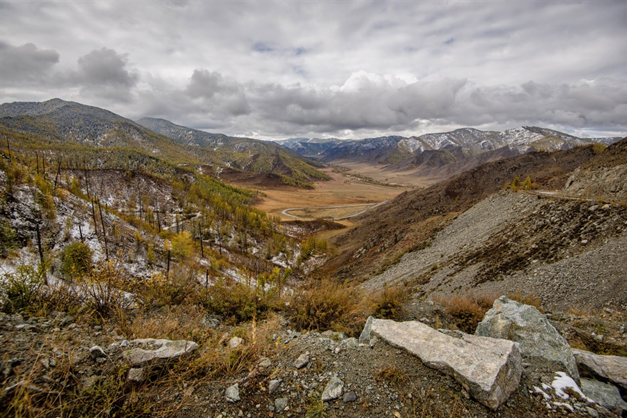 Фото жизнь
