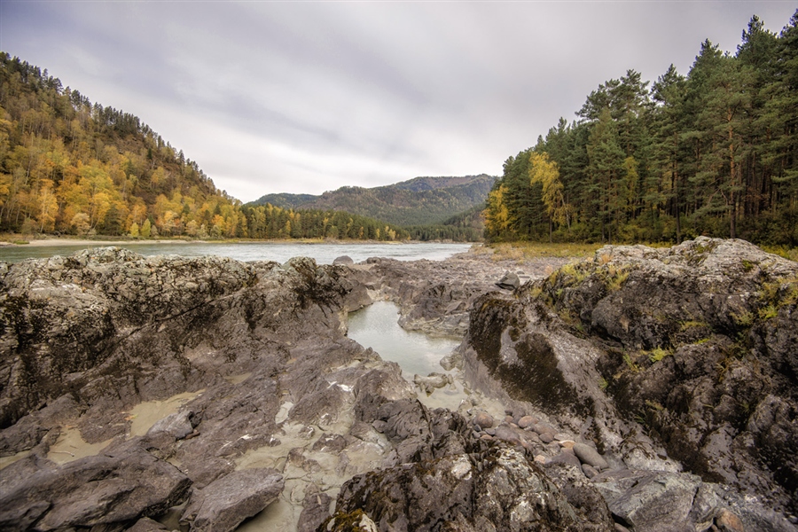 Фото жизнь