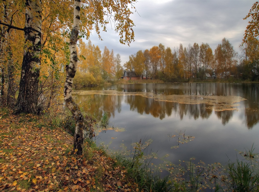 Фото жизнь