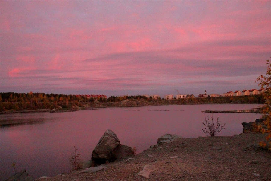 Фото жизнь