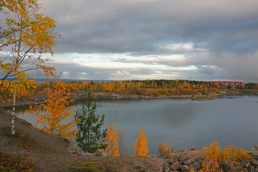 Фото жизнь