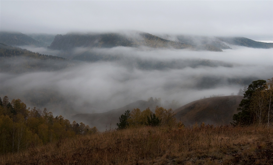 Фото жизнь