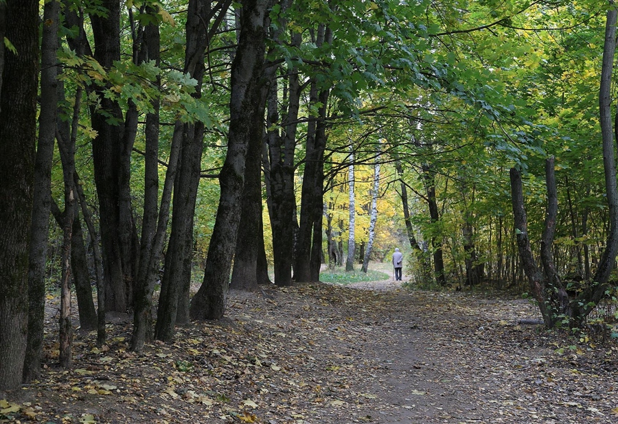 Фото жизнь