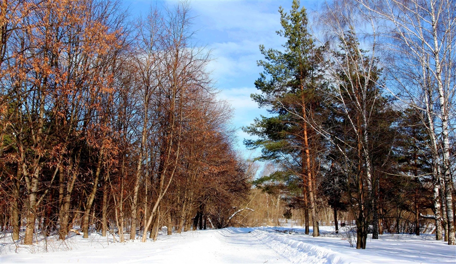 Фото жизнь