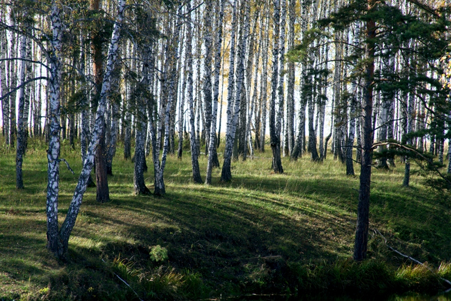 Фото жизнь