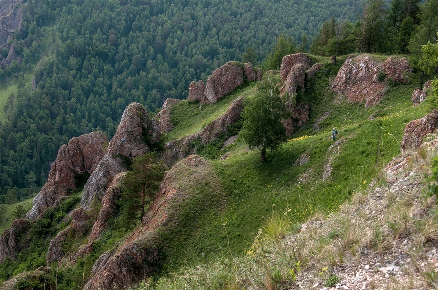 Фото жизнь