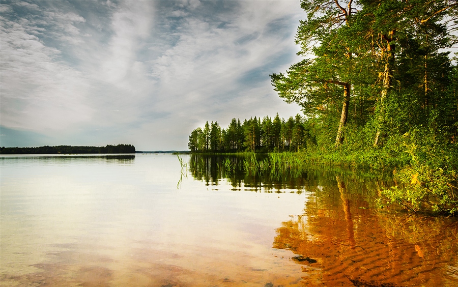 Фото жизнь