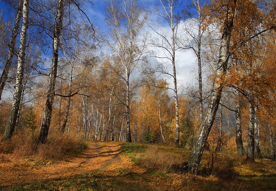 Фото жизнь